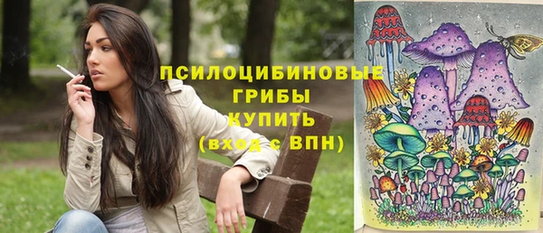 синтетический гашиш Пролетарск
