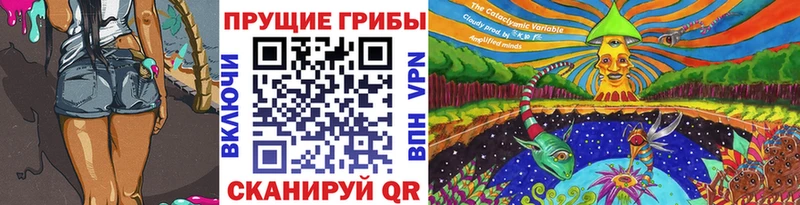 Псилоцибиновые грибы мицелий  Сосновый Бор 